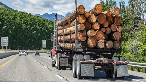 Working With A Logging Trucks Accident Lawyer